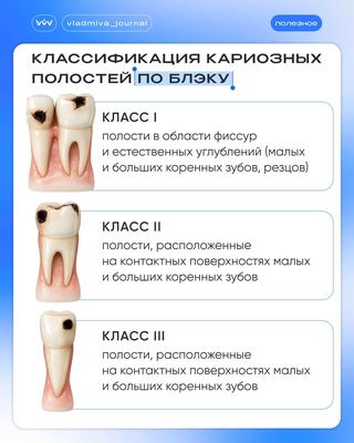 Памятка для начинающих: обновляем учебную программу.
